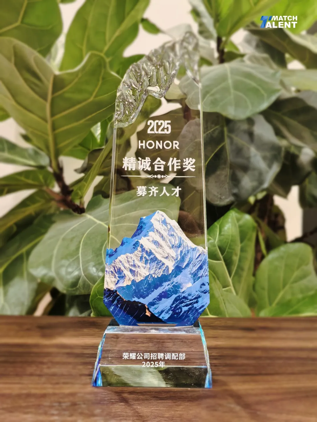 荣耀精诚合作奖
