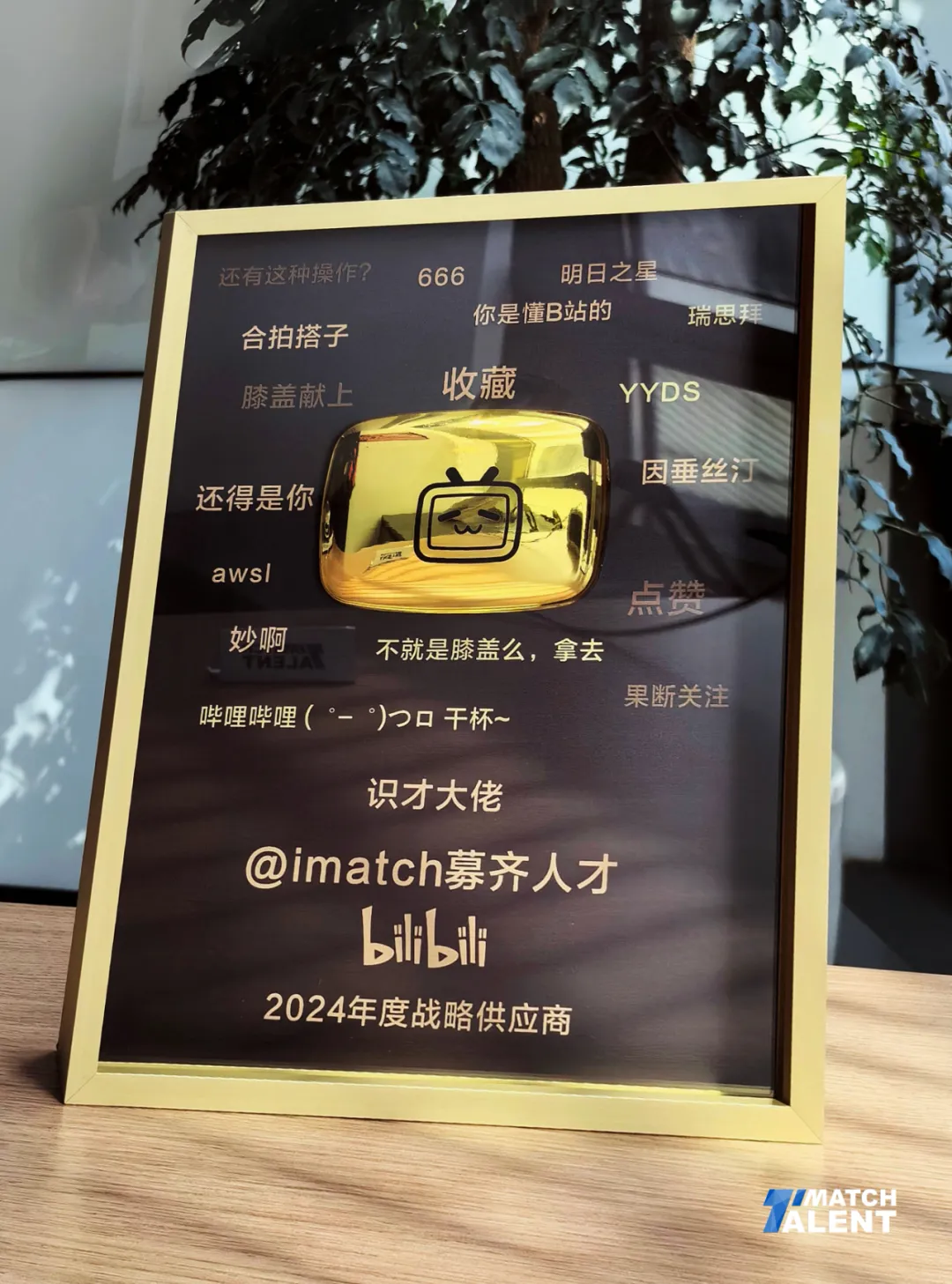 B站识才大佬战略供应商