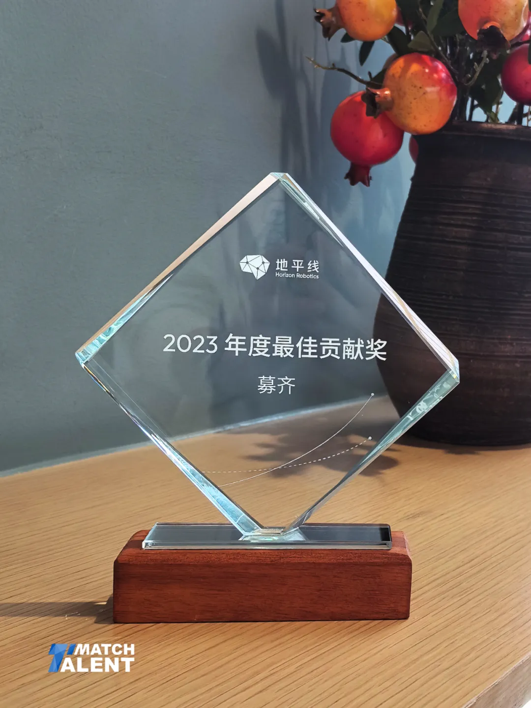 地平线年度最佳贡献